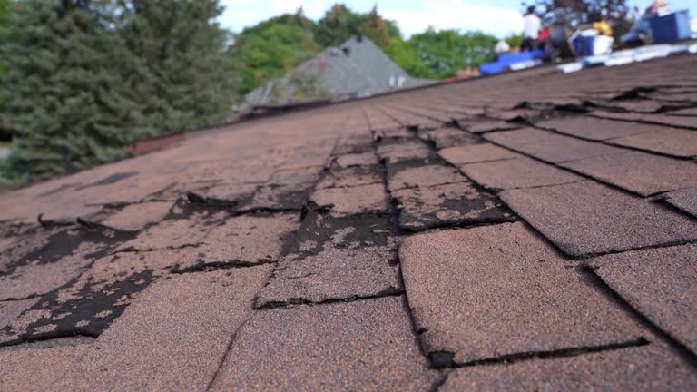  Norristown, PA Roofing Service Pros