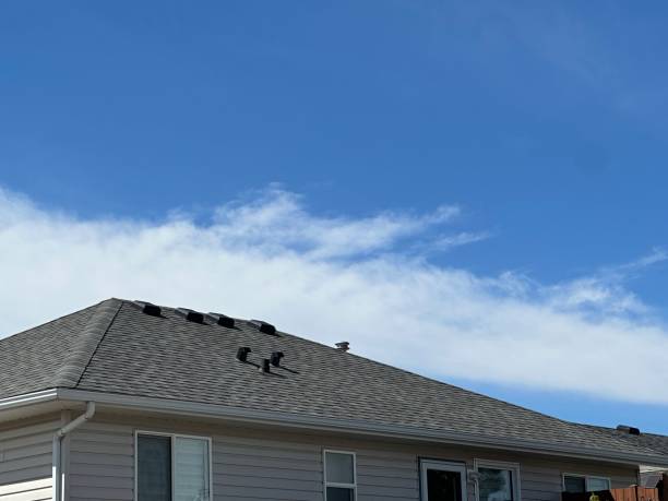 Best Hot Roofs  in Norristown, PA